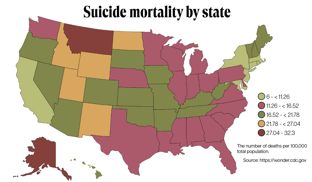 Shining a light: students learn about suicide prevention